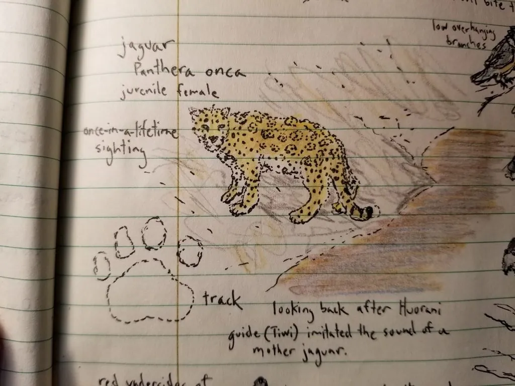 Jaguar