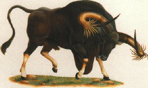 Kuprey