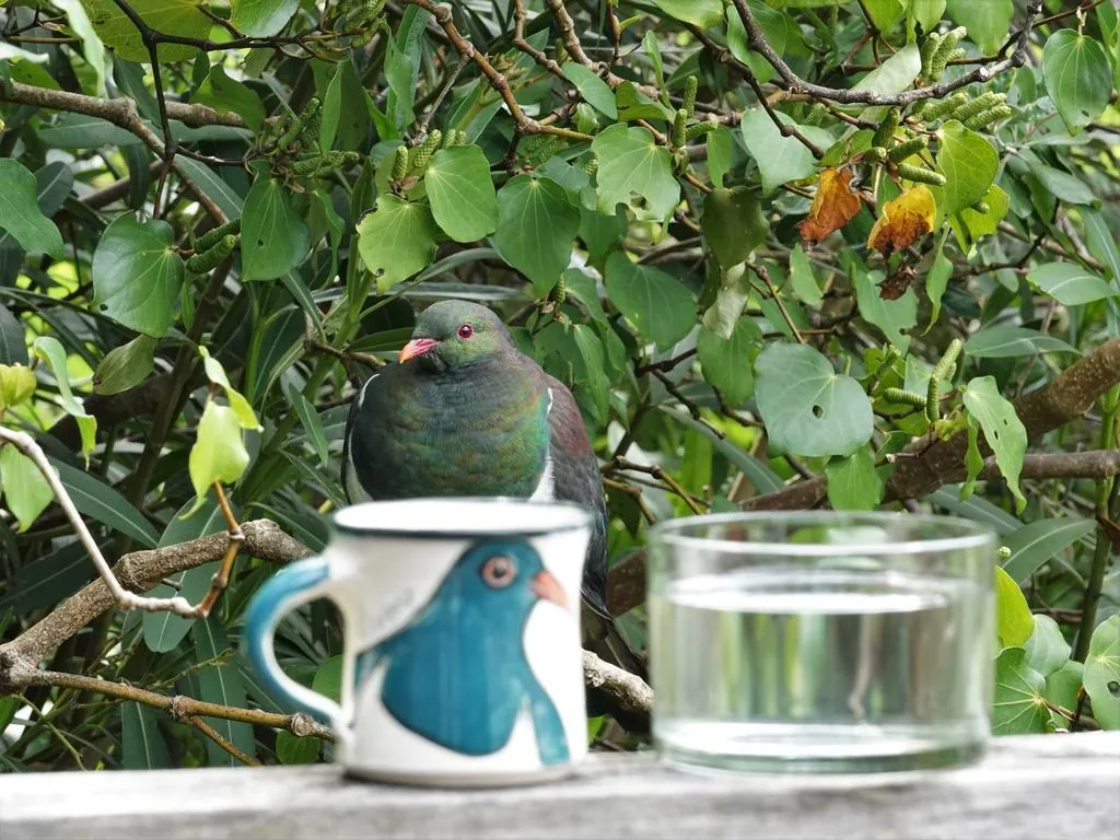 Pombo-maori